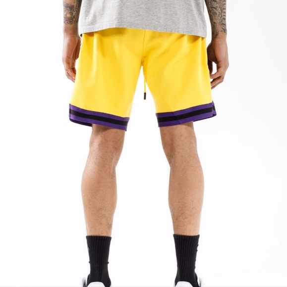 PRO STANDARD LOS ANGELES LAKERS PRO TEAM SHORTS - Picture 4 of 4